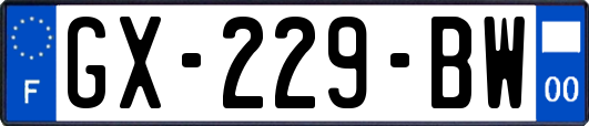 GX-229-BW