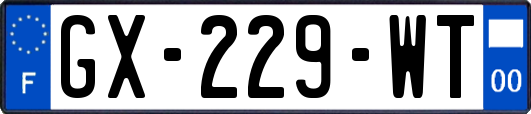 GX-229-WT