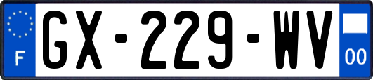 GX-229-WV