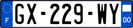 GX-229-WY