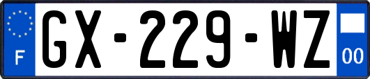 GX-229-WZ