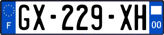 GX-229-XH