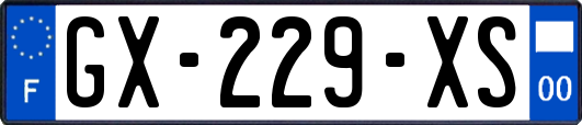 GX-229-XS