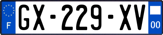 GX-229-XV