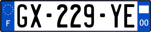GX-229-YE