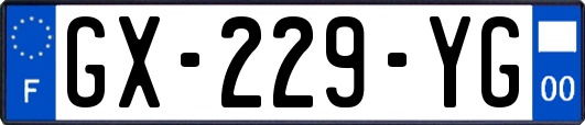 GX-229-YG