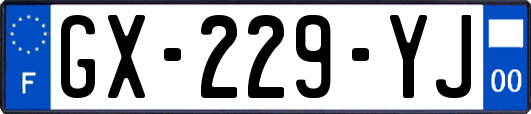 GX-229-YJ