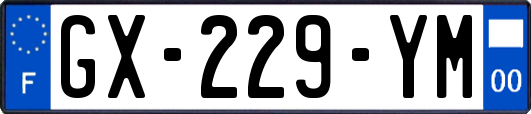 GX-229-YM