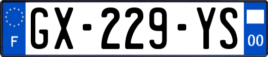 GX-229-YS