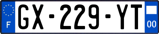 GX-229-YT