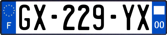 GX-229-YX
