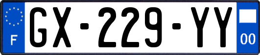 GX-229-YY