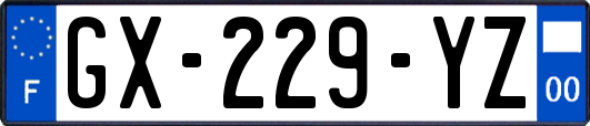 GX-229-YZ