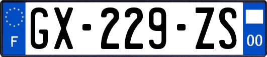GX-229-ZS