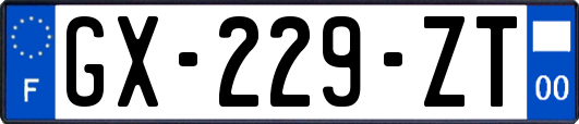 GX-229-ZT