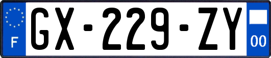 GX-229-ZY