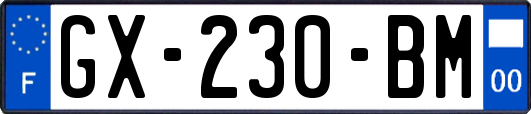 GX-230-BM