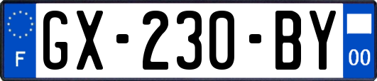 GX-230-BY