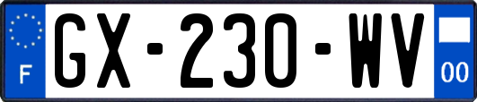 GX-230-WV