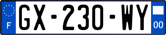GX-230-WY