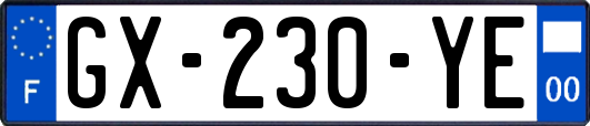 GX-230-YE