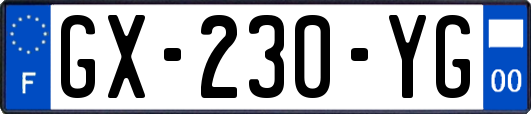 GX-230-YG