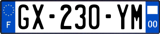 GX-230-YM