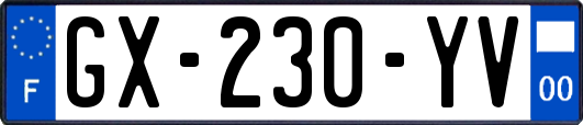 GX-230-YV