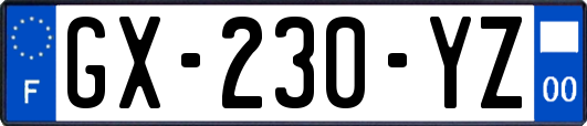 GX-230-YZ