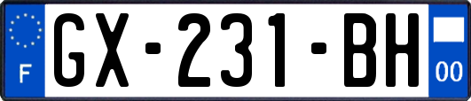GX-231-BH