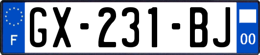 GX-231-BJ