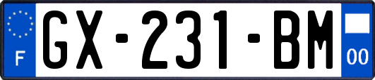 GX-231-BM