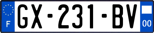 GX-231-BV