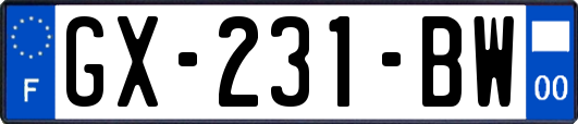 GX-231-BW