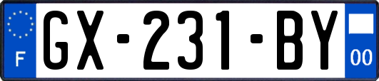 GX-231-BY