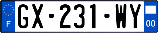 GX-231-WY