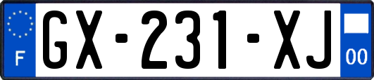 GX-231-XJ