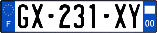 GX-231-XY
