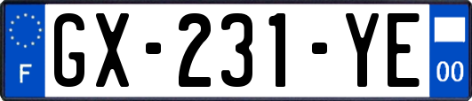 GX-231-YE