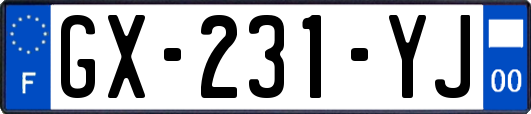 GX-231-YJ