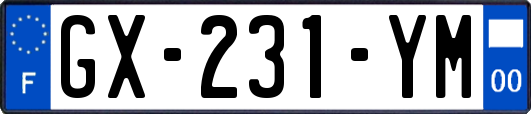GX-231-YM