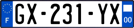 GX-231-YX