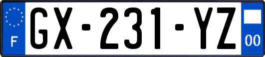 GX-231-YZ