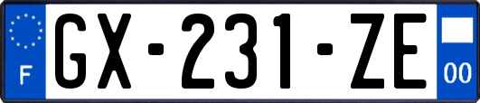 GX-231-ZE