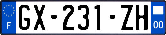 GX-231-ZH