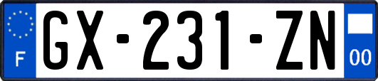 GX-231-ZN