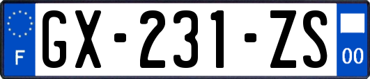 GX-231-ZS