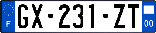GX-231-ZT
