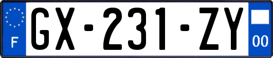 GX-231-ZY