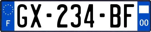 GX-234-BF